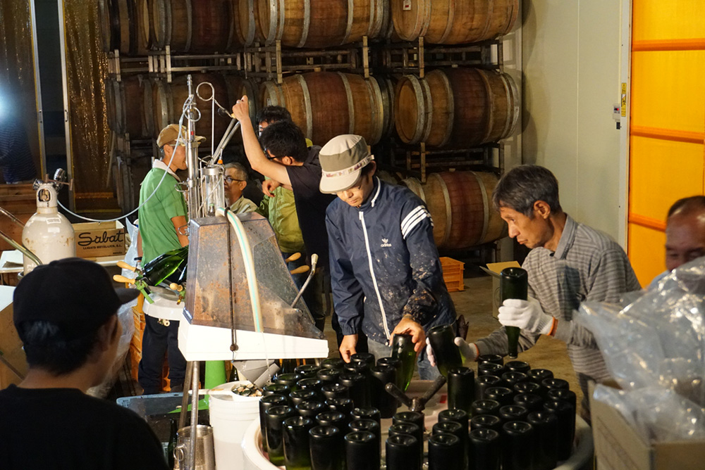 ココ・ファーム・ワナリー　ワイン製造 　スパークリングワイン
