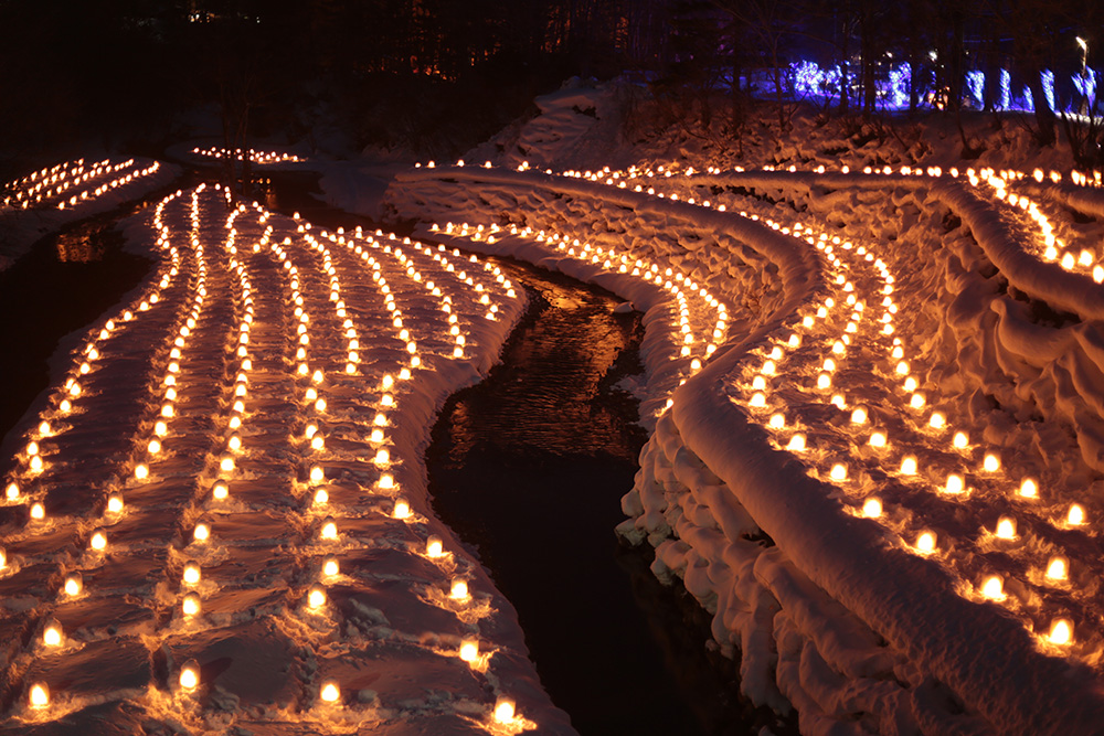 かまくら　全体　湯西川温泉かまくら祭り（日光市）　栃木県　とちぎのしゅし