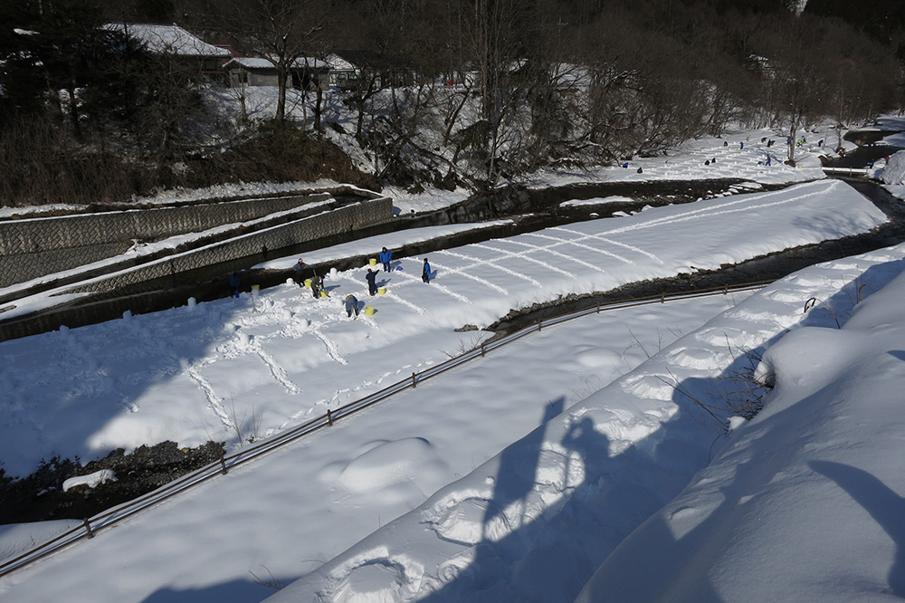 かまくらの雪　湯西川温泉かまくら祭り（日光市）　栃木県　とちぎのしゅし