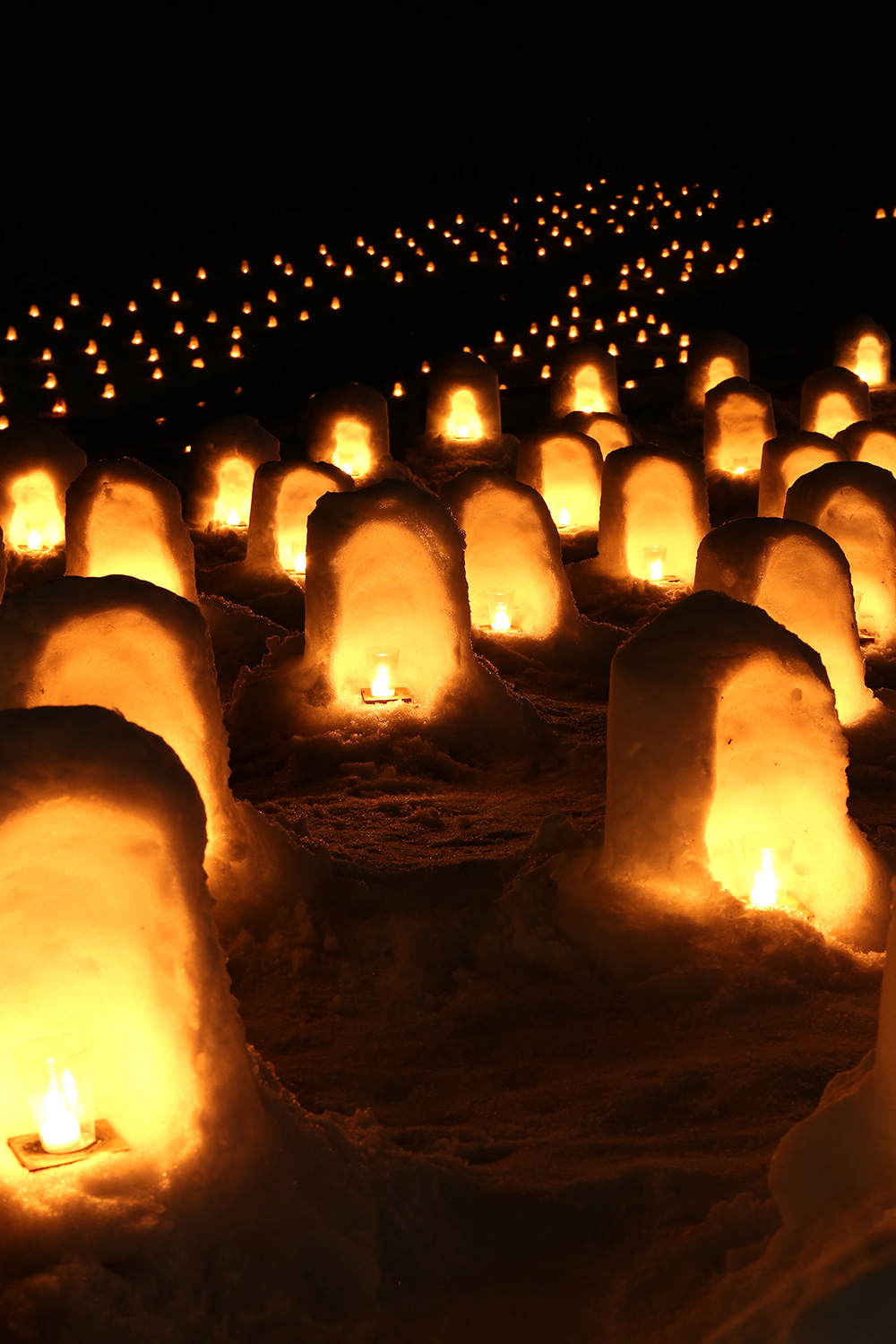 かまくら　アップ　湯西川温泉かまくら祭り（日光市）　栃木県　とちぎのしゅし
