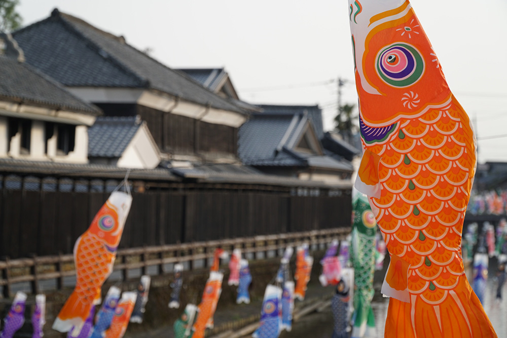 色鮮やか　鯉のぼり　蔵の街遊覧船　うずま川　栃木市　観光　とちぎのしゅし