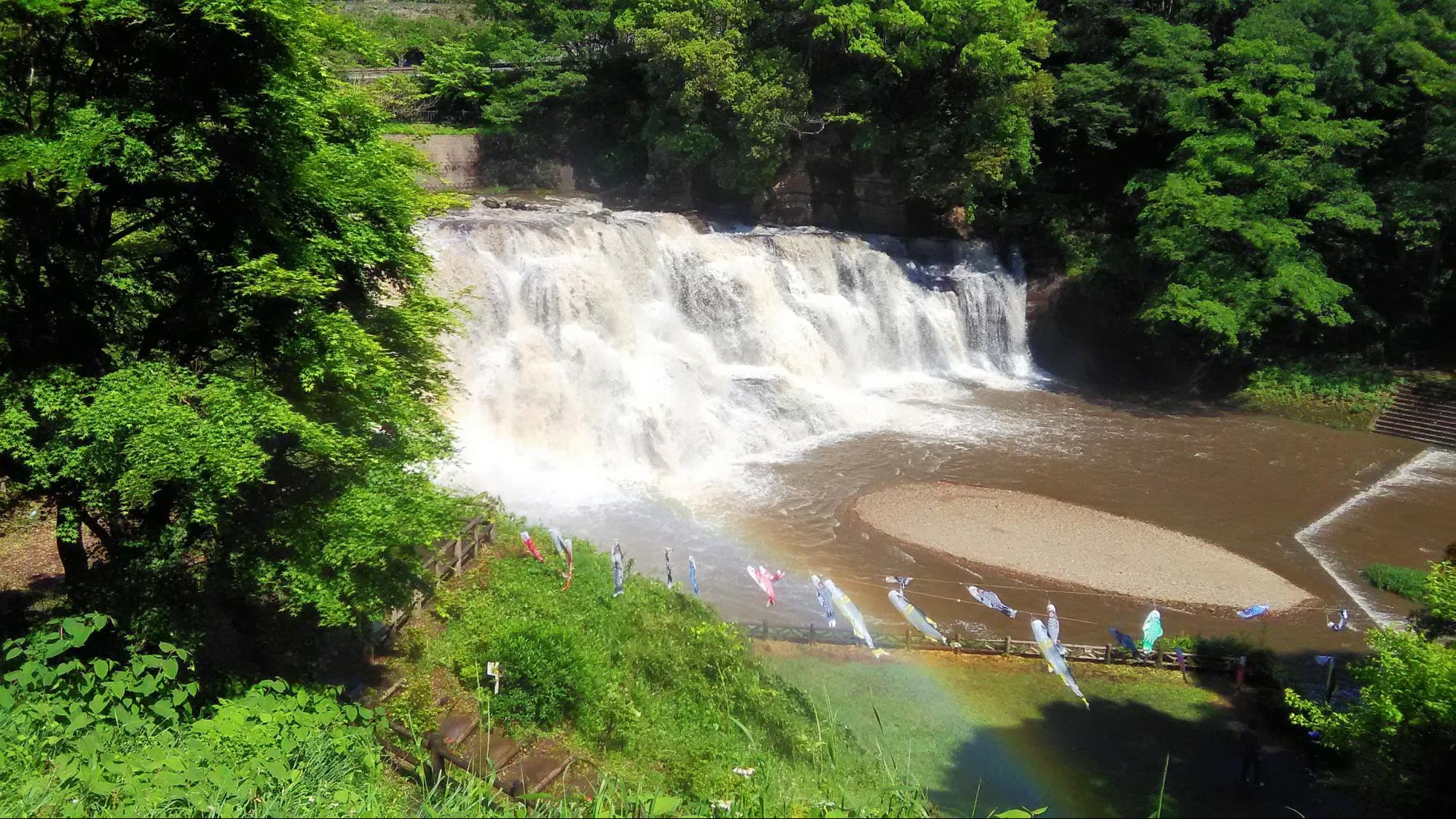 栃木県　那須烏山市　鯉のぼりと龍門の滝